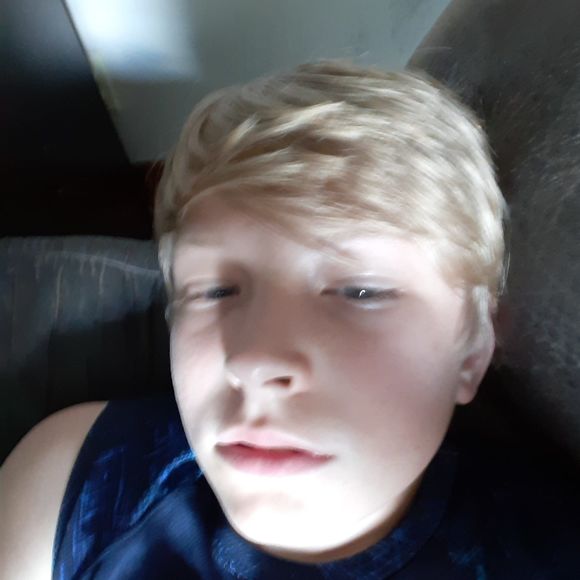 Meet your Posher, Dylan - Picture 1 of 1